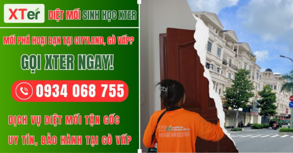 Dịch vụ diệt mối tận gốc Cityland Gò Vấp