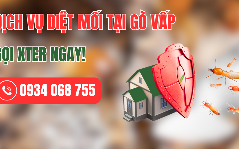 Dịch Vụ Diệt Mối Tận Gốc Tại Gò Vấp