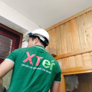 Diệt Mối Tại Hạnh Thông Tây - Diệt Sạch Mối Mọt Hiệu Quả, Bền Vững