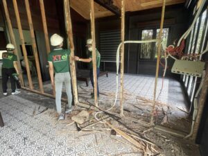 Diệt Mối Đường Phan Huy Ích – Giải Pháp Sinh Học An Toàn, Triệt Để