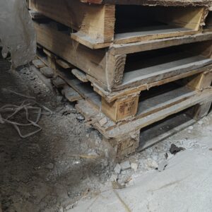 Diệt Mối Nhanh Chóng Đường Số 12: XTER – Giải Pháp Toàn Diện, Phản Hồi Tức Thì, Giá Tốt Nhất!