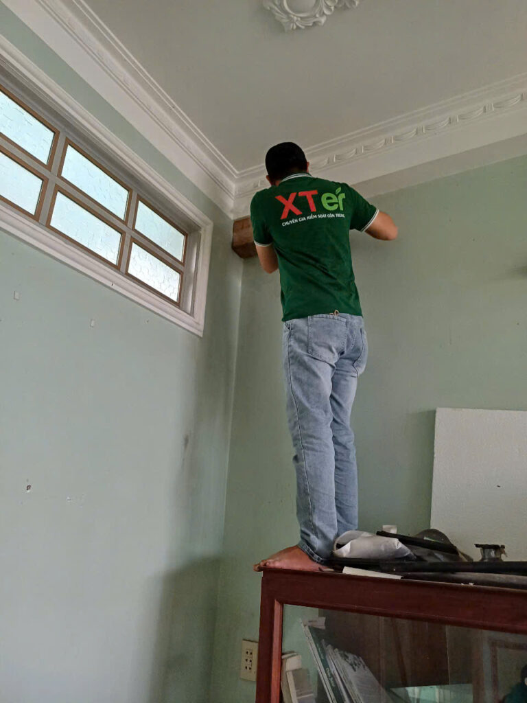 Dịch Vụ Diệt Mối Đường Số 10: Xua Tan Mối Mọt, Tiết Kiệm Chi Phí Cùng XTER!